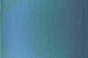 Cationic spandex looped fabric-7532