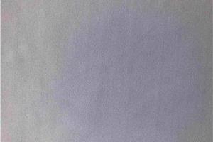 Antibacterial spandex double-sided fabric single bed sheet-5105