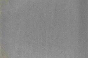 Spandex double-sided fabric with double abrasive treatment for anti-allergens-5295