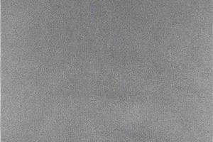Jinhuang double-sided fabric-9220
